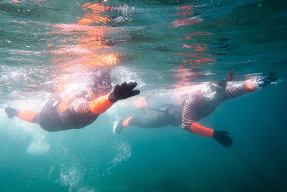Open water swimmers swimming in a pair wearing neoprene gloves and socks and the Orca Zeal Hi Vis Wetsuit.