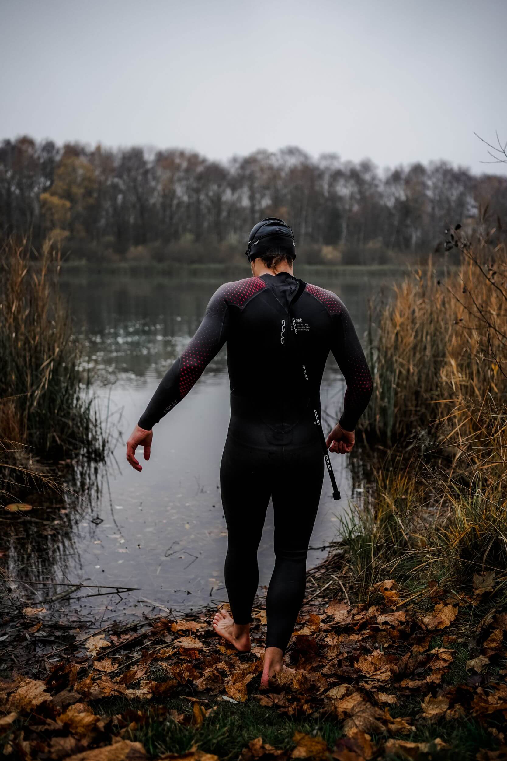 An open water swimmer enters a lake wearing the Orca Athlex float V2